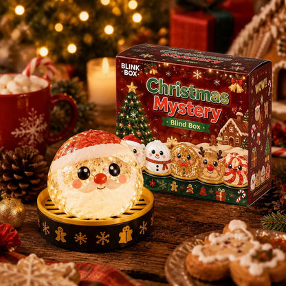 🎄🎅Christmas Squishy Dumplings Mystery Blind Box