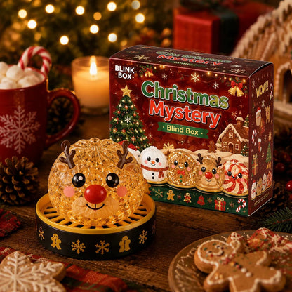 🎄🎅Christmas Squishy Dumplings Mystery Blind Box